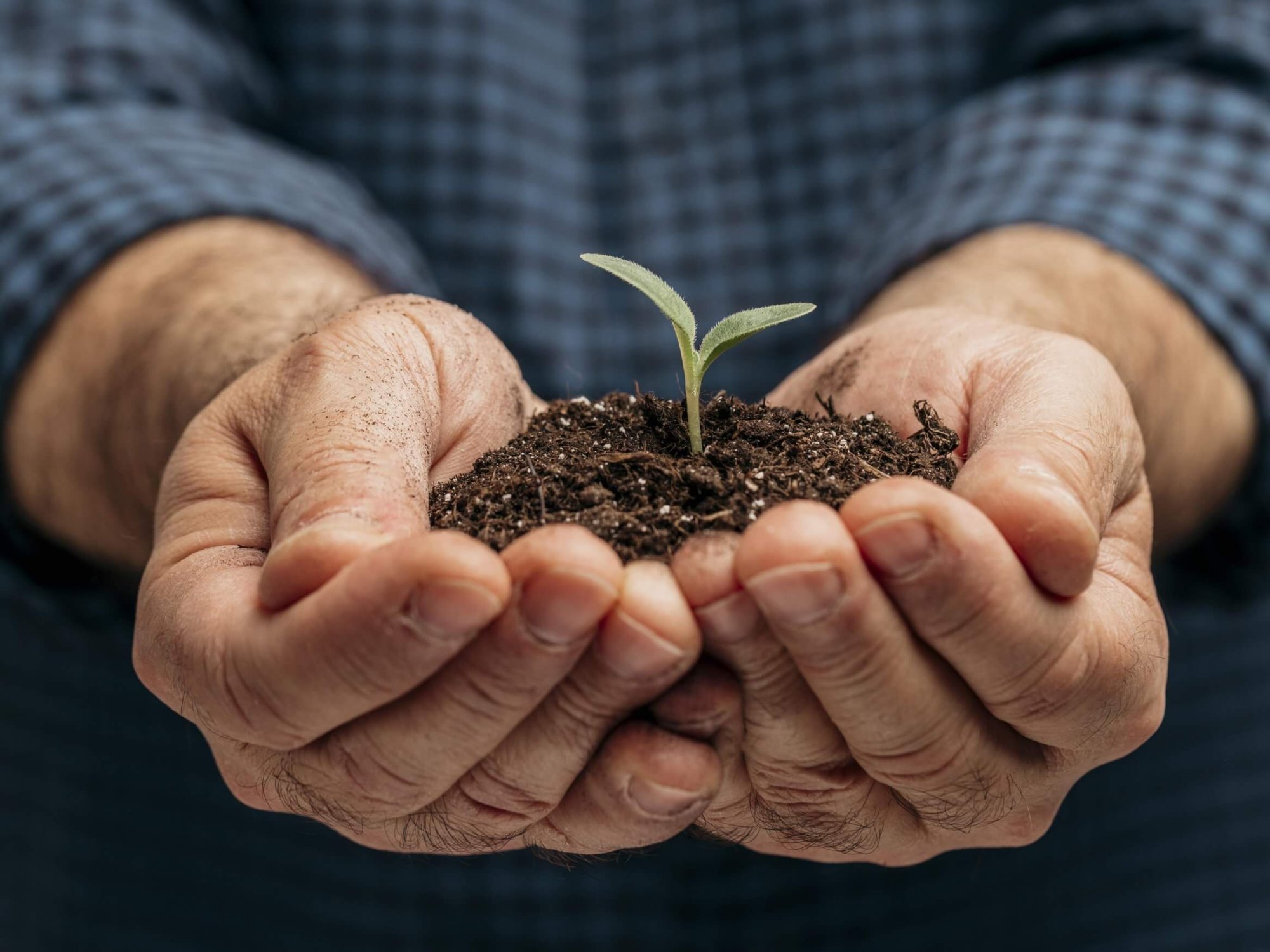 AGROAMBIENTA-AMEV AGROAMBIENTA-AMEV